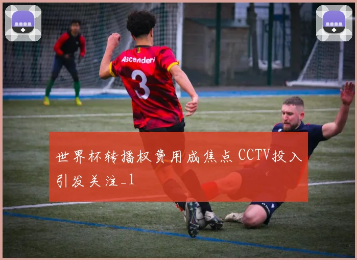 世界杯转播权费用成焦点 CCTV投入引发关注_1
