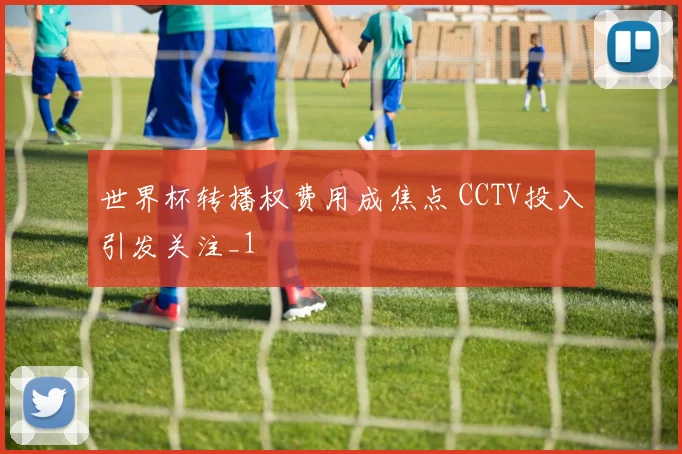 世界杯转播权费用成焦点 CCTV投入引发关注_1