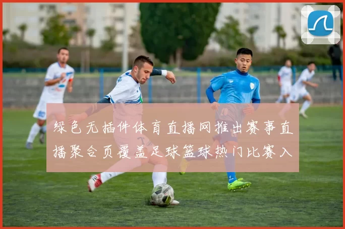 绿色无插件体育直播网推出赛事直播聚合页覆盖足球篮球热门比赛入口
